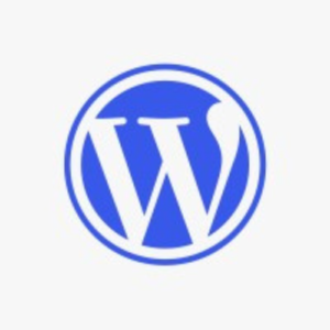 WordPress developer